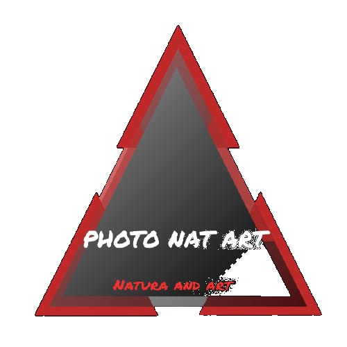 Photo Nat Art